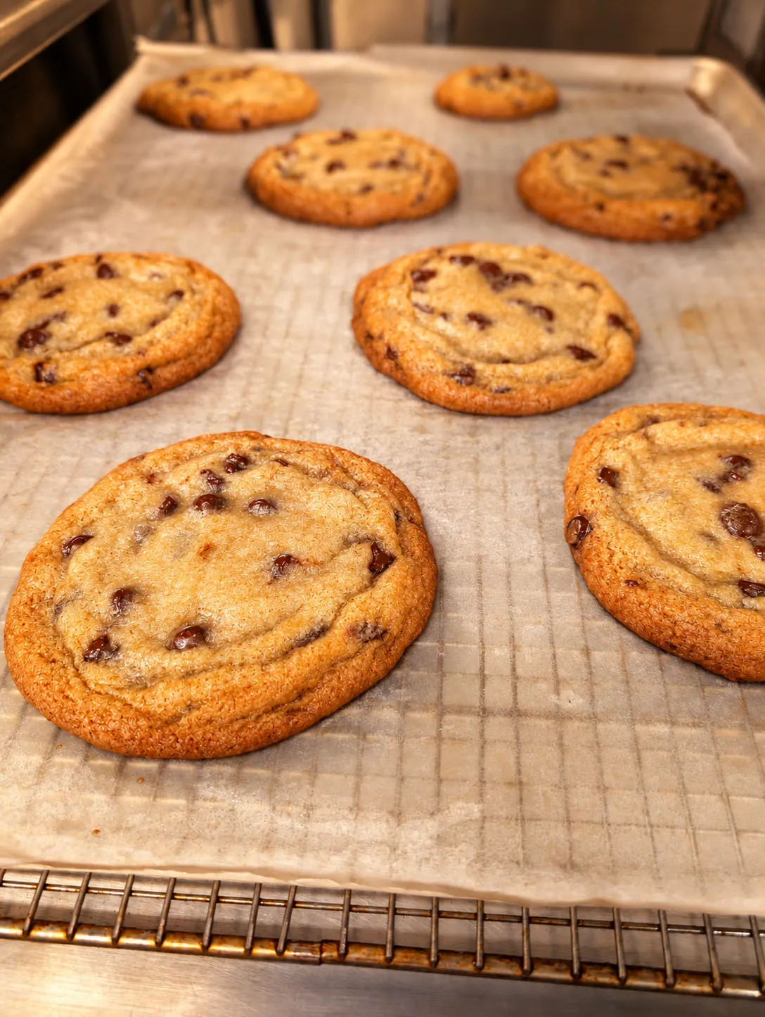 Fresh chocolate chip cookies cooling on a baking tray